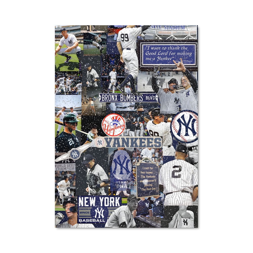 Poster La Passion du Baseball